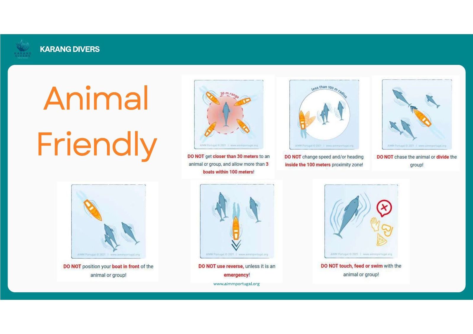 Animal-friendly dolphin watching rules: do not get closer than 30 metres or allow more than three boats within 100 metres, do not change speed or heading inside the 100-metre proximity zone, do not chase or divide the pod, do not position the boat in front of the animals, do not use reverse unless emergency, do not touch, feed or swim with the animals.